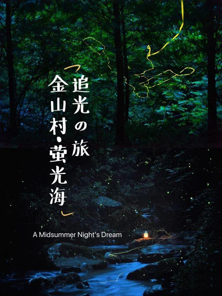 虫虫助手下载